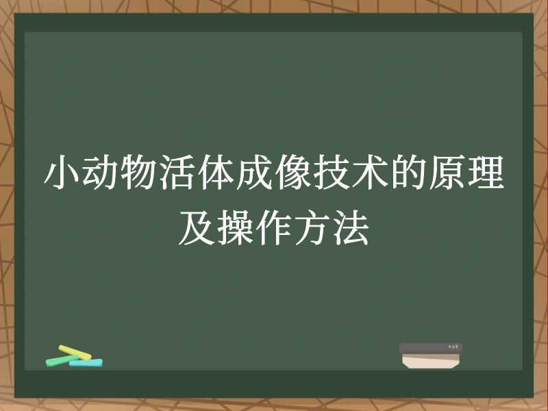 小动物活体成像技术的原理及操作方法